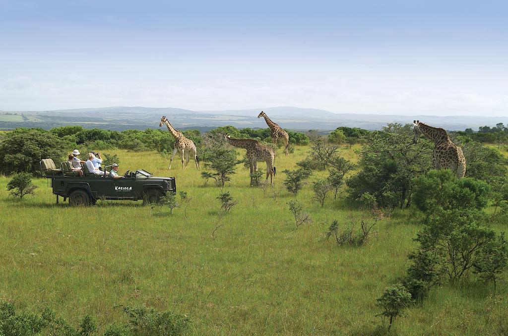 Kariega Game Reserve River Lodge Kenton on Sea Kültér fotó