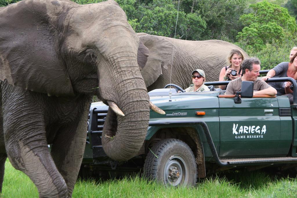 Kariega Game Reserve River Lodge Kenton on Sea Kültér fotó